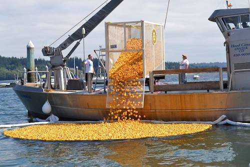 duck drop silverdale